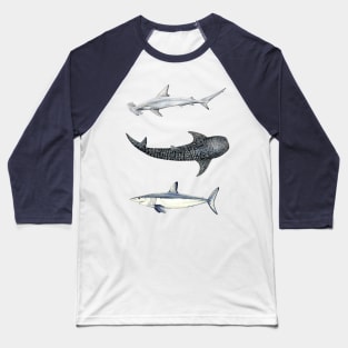 Shark trio: hammerhead shark, mako shark and whale shark Baseball T-Shirt